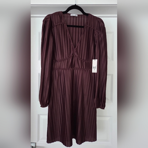 Dex Dresses & Skirts - NWT DEX Plissé Plum V-Neck Dress, Size M